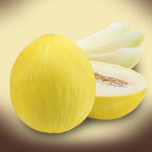 Melone invernale F1 giallo