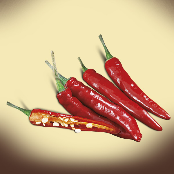 Peperoncino HABANERO - piccantissimo