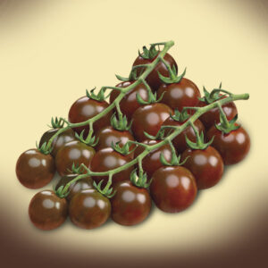 Pomodoro Black Cherry