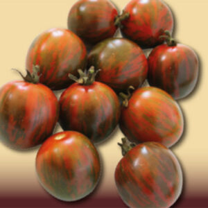 Pomodoro Sardo (Tipo Camone)