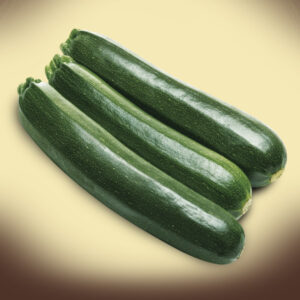 Zucchino Lungo Scuro President F1