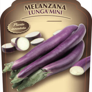 Melanzana Lunga Mini “Early Long Purple”
