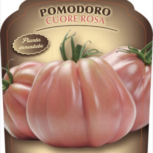 Pomodoro Cuore Rosa