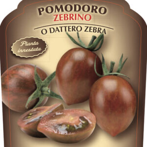 Pomodoro Zebrino