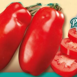 Pomodoro Portento