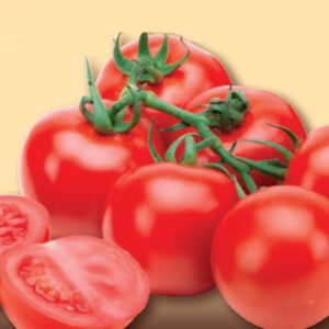 Pomodoro Tipo Pachino Cocktail F1